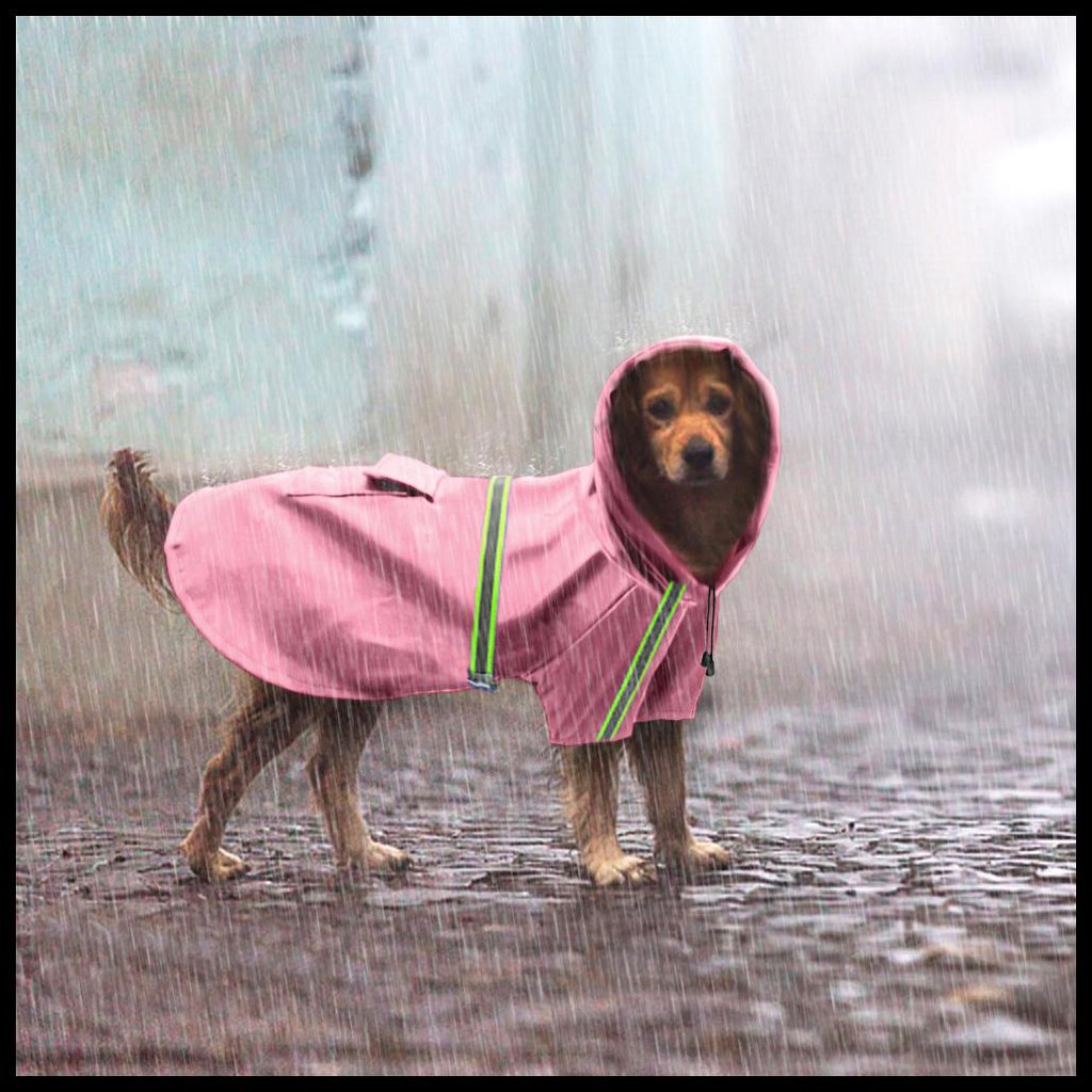 Promo Jaket Anti Hujan Anjing Waterproof Size M Blue Shopee