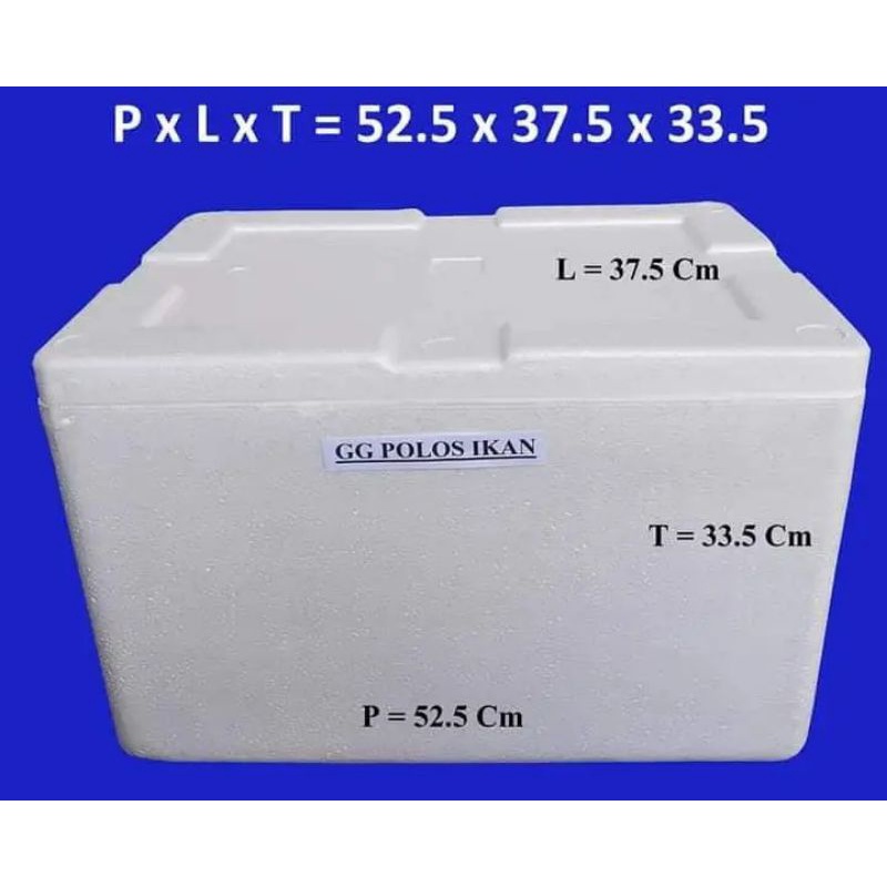 box Es Besar paking / box gabus / Box Stryfoam / Box Serba guna