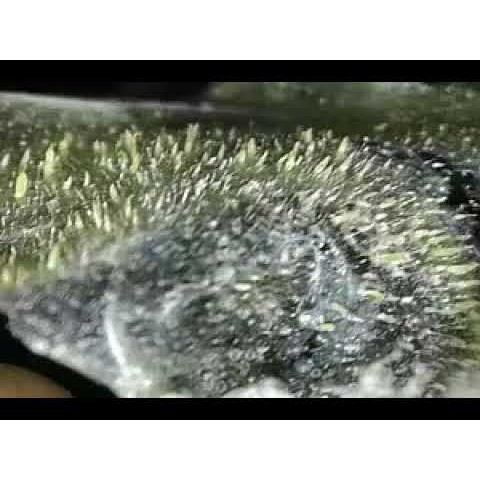 MASKER KOMEDO MURAH