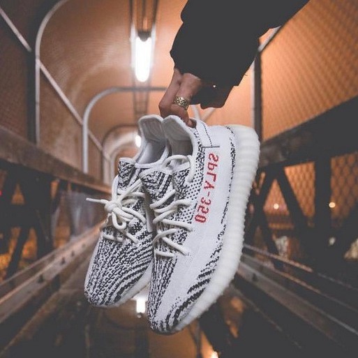 Turtle Dove Gray Adidas Yeezy Boost 350 LOW AQ4832 For Sale