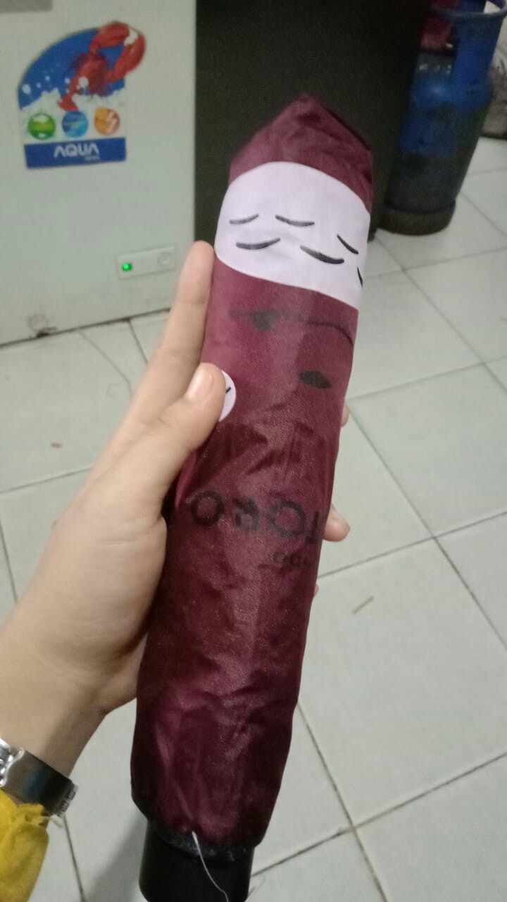 Nagoya Payung Lipat 4 Totoro Face