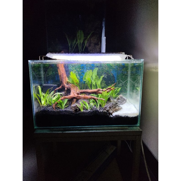 Aquarium Full Set Aquascape 40cm #1