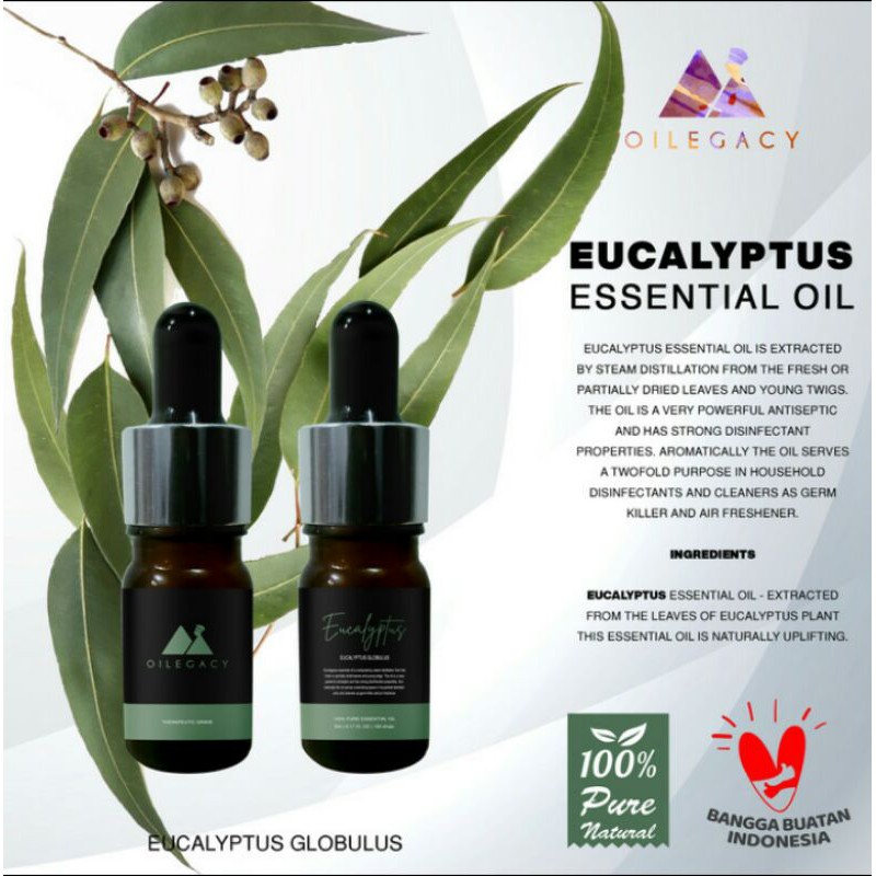 ESSENTIAL OIL | EUCALYPTUS | MINYAK ATSIRI | EKALIPTUS | DROPPER | BOTOL PIPET | DIFFUSER