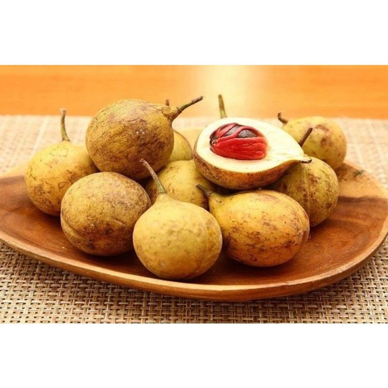 

Buah pala mentah 1kg / buah segar / rempah-rempah