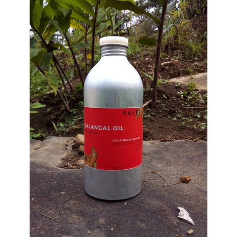 500 ml - Minyak atsiri lengkuas - laos dapur / Galangal essential oil (Alpinia galanga)