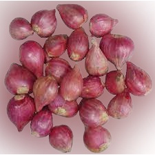 

( PER 500 gram)~ Bawang Merah bahan masak bawang merah