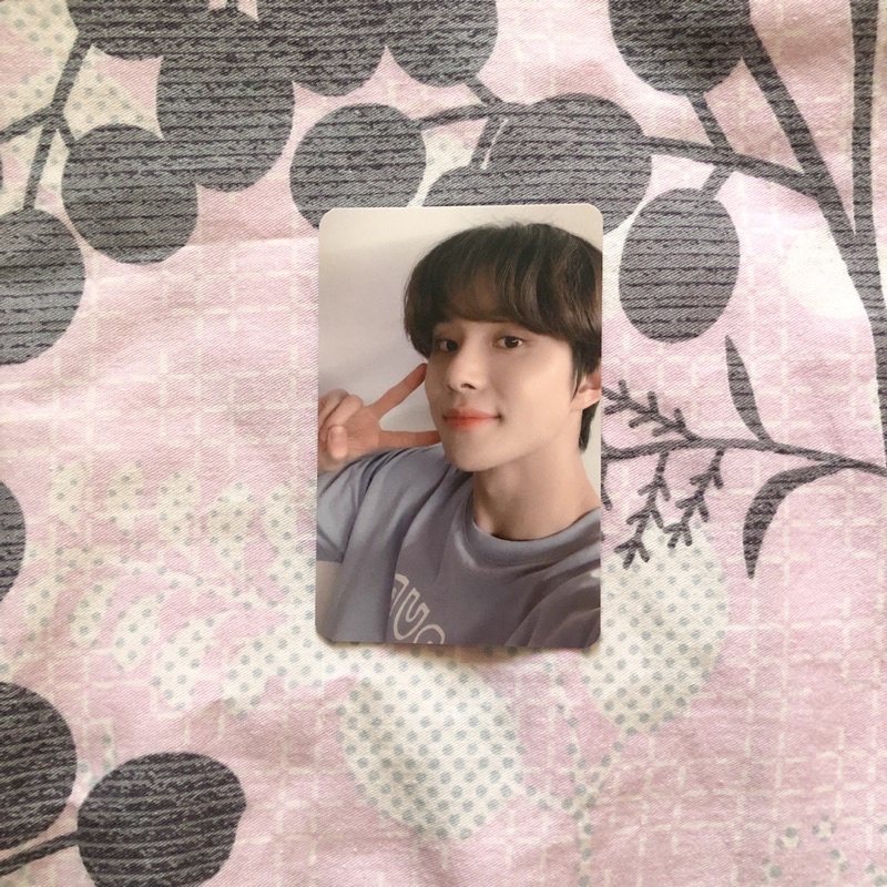 Photocard Jungwoo NCT 127 X Slow Acid [slowacid] X Teddy Island