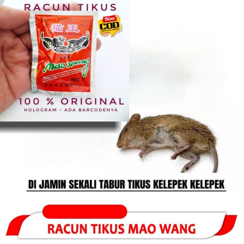 Racun Tikus Ampuh Racun Tikus Mati Kering Mao Wang Racun Tikus