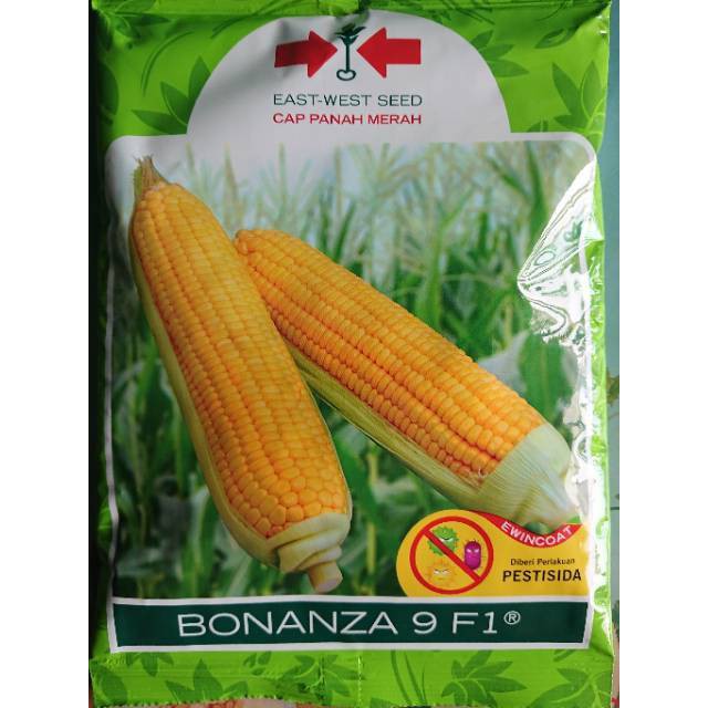 benih bibit Jagung Manis BONANZA 9 F1 1750 Biji