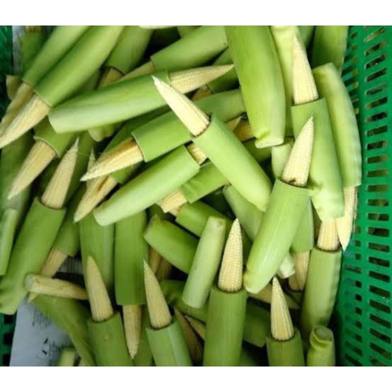 

Jagung putren 250gr