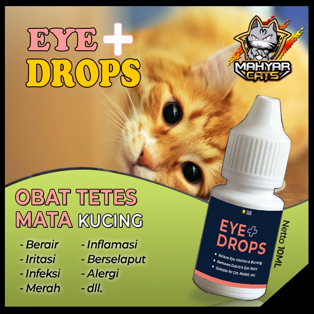 Obat Tetes Mata Kucing EYE PLUS DROPS Obat Sakit Mata Kucing Belekan Iritasi Infeksi Berair by Clever Solutions Trixin Olive Care Koinami