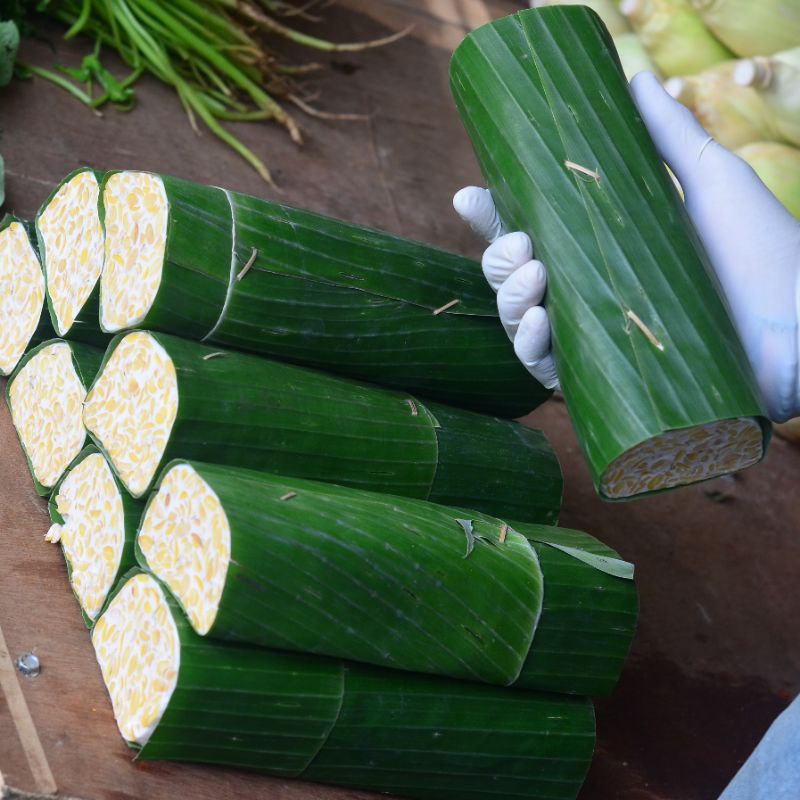 

tempe bungkus daun segar ukuran besar