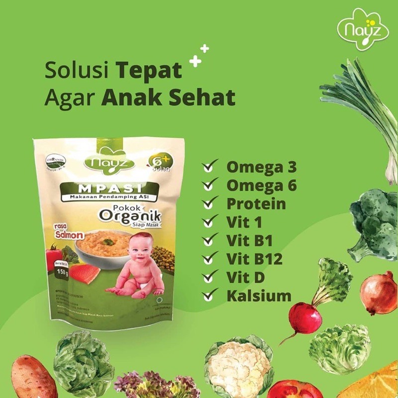 Nayz MPASI organik 150 gram Ikan Salmon/Daging Sapi