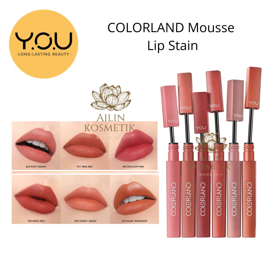 Jual YOU Colorland Powder Mousse Lip Stain Lip Cream Matte YOU by AILIN