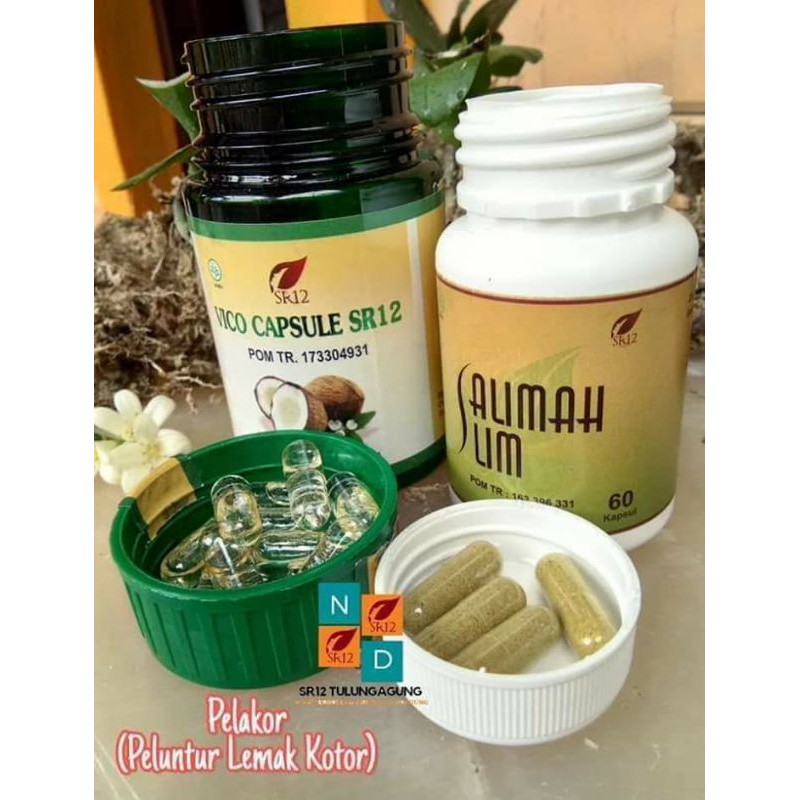 Paket PELAKOR sr12