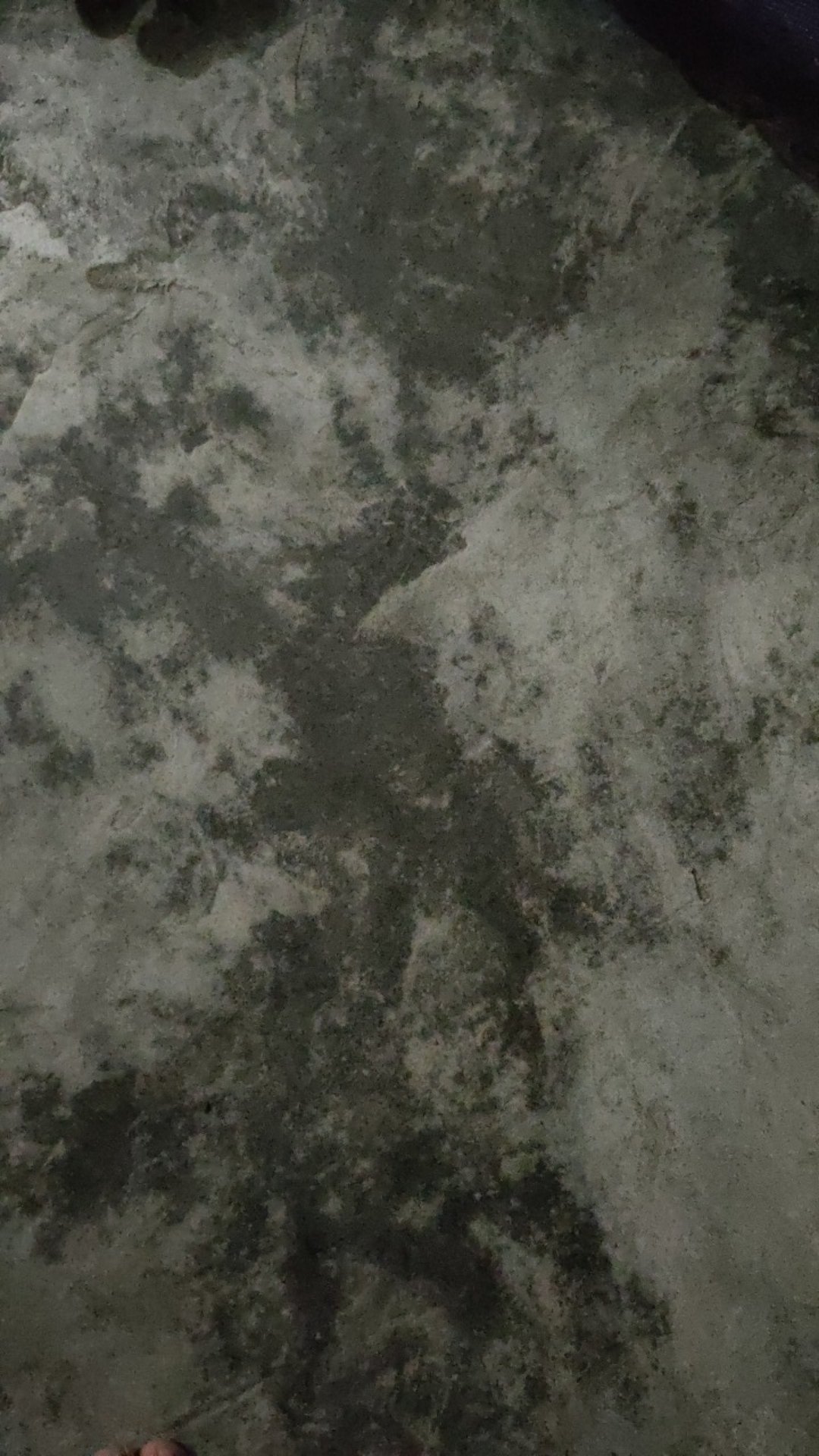 #toples Atau Wadah Tempat Kue{4}