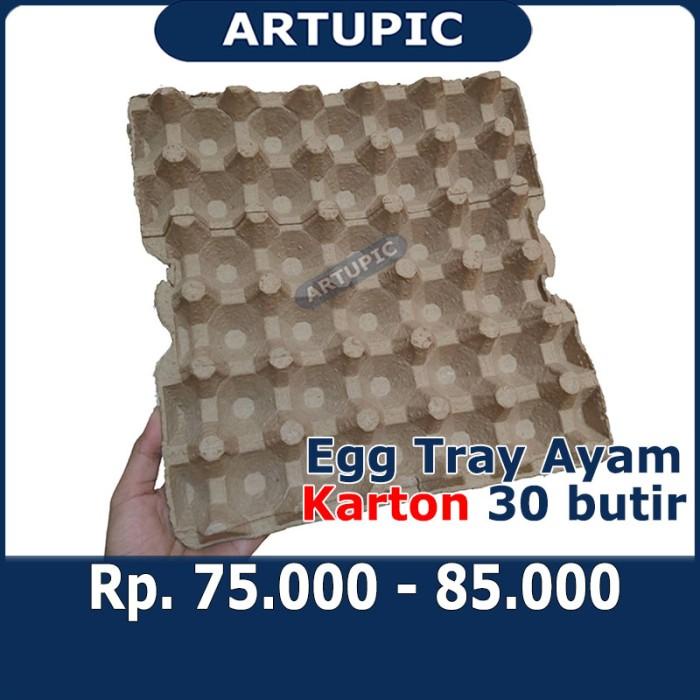 Egg Tray Ayam Karton Kertas Kardus Rak Tempat Telur Telor Ayam Isi 70