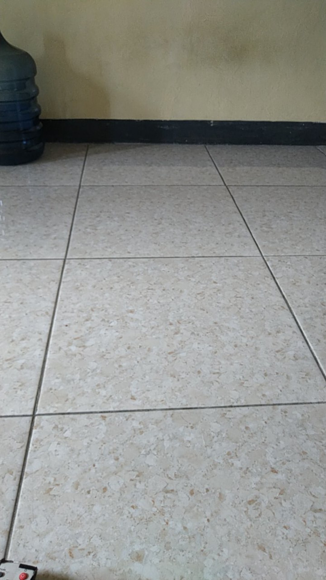 Racun Tikus Ramtus 50gram