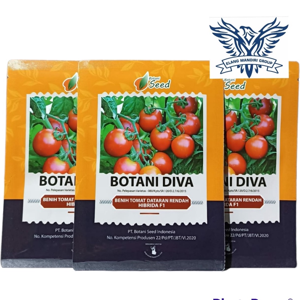 Benih Bibit Tomat Botani Diva 115 Butir Botani Seed