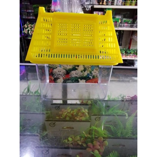 ARMADA /NIKITA PET HOME 01 Aquarium  ikan kecil kura kura