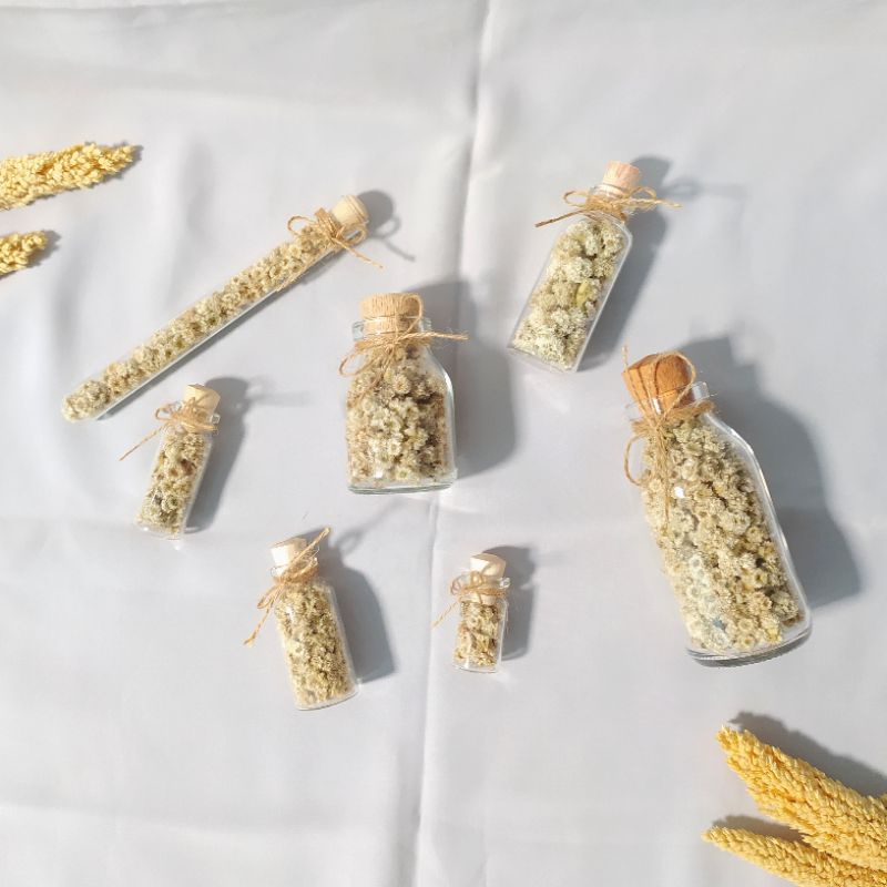 Edelweis in Glass Bottle • Bunga Edelweis Kering dalam Botol Kaca • Edelweis in Jar • Edelweis dalam