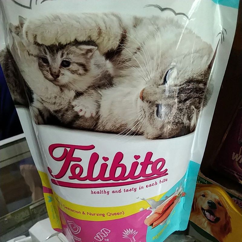 Felibite kitten 800gr