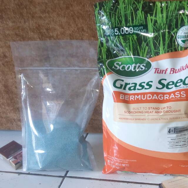 Benih rumput grass seed bermuda