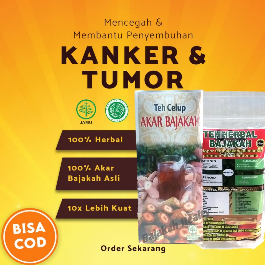 Teh Herbal Bajakah Kalalawit Merah Super Obat Kanker Obat Tumor Asli Kalimantan