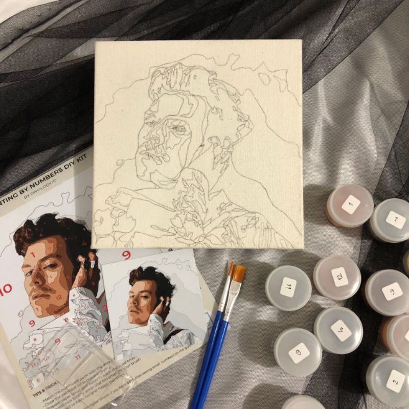 Harry Styles Edition Painting by Numbers DIY Kit