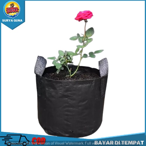 Planter Bag 15 Liter PlanterBag Cabai