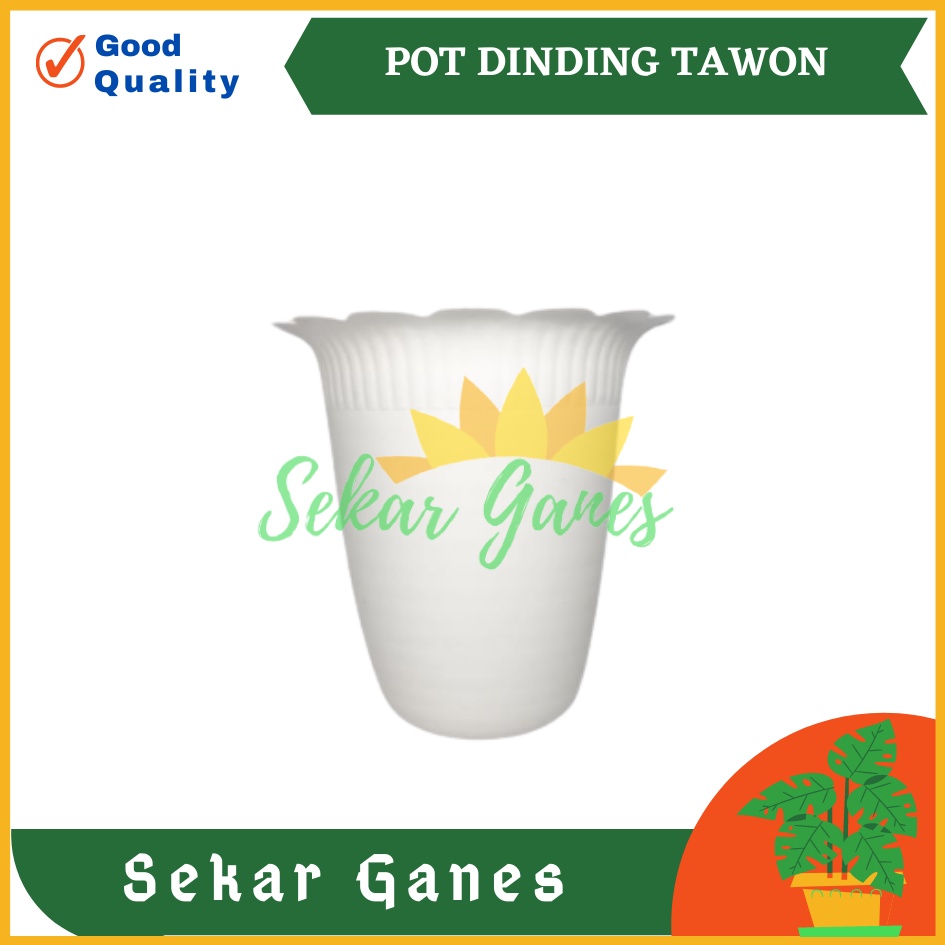 POT DINDING PUTIH 15 CM NEW TAWON DINDING TEMPEL 15Cm POT BUNGA PUTIH | OMBAK  Dinding Kerang MURAH