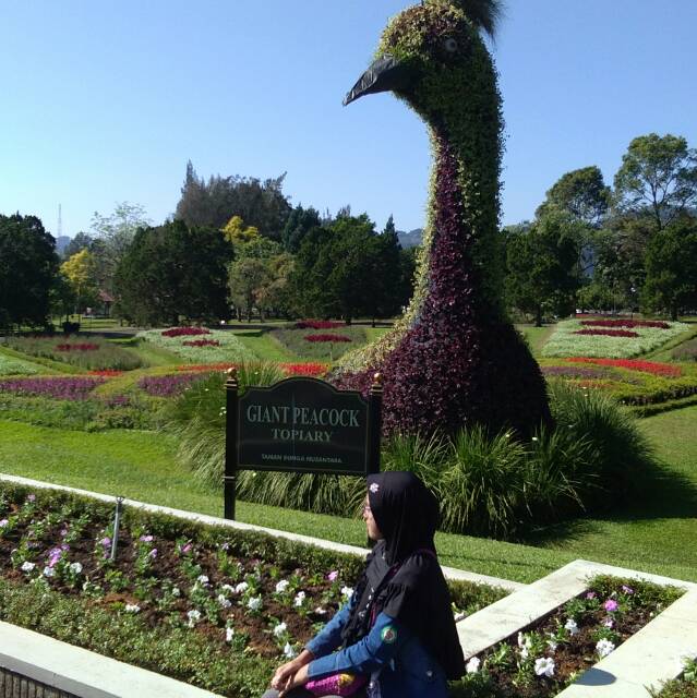 1211sitianisa