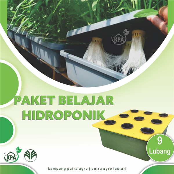 Paket Hidroponik Pemula - Hidroponik Sistem Wick - Paket Berkebun Hidroponik