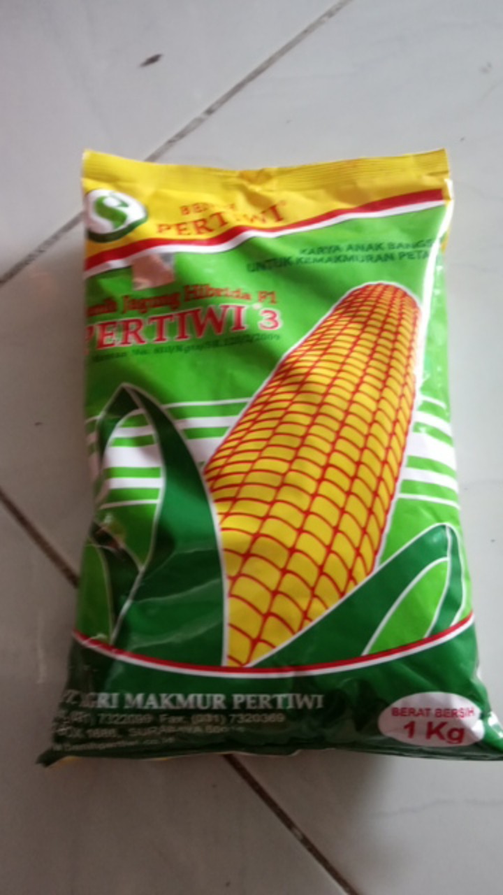 Bibit Jagung. Benih Jagung Hibrida F1 Pertiwi 3 (1 Kg)