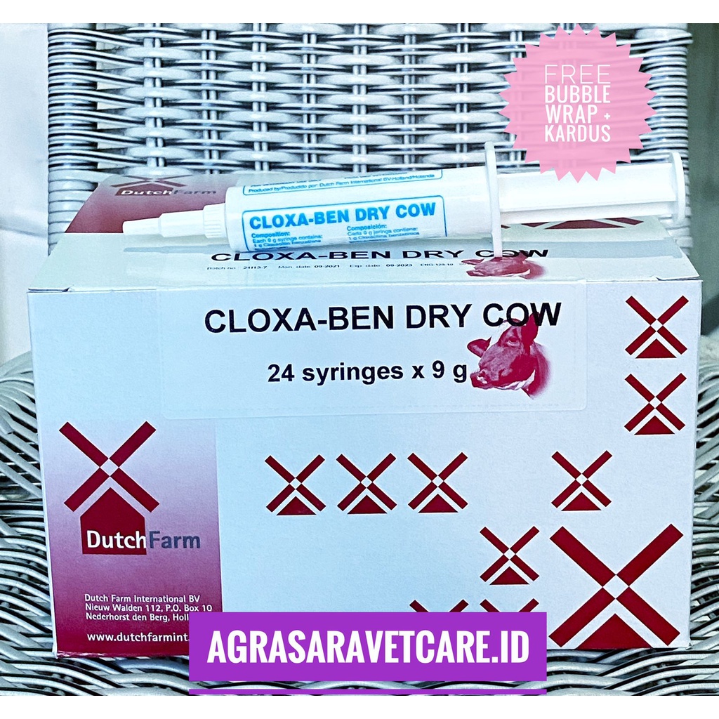 Cloxa-ben Dry Cow 9 gram (1 SYR) - obat mastitis ternak masa kering MIRIP DEPOLAC