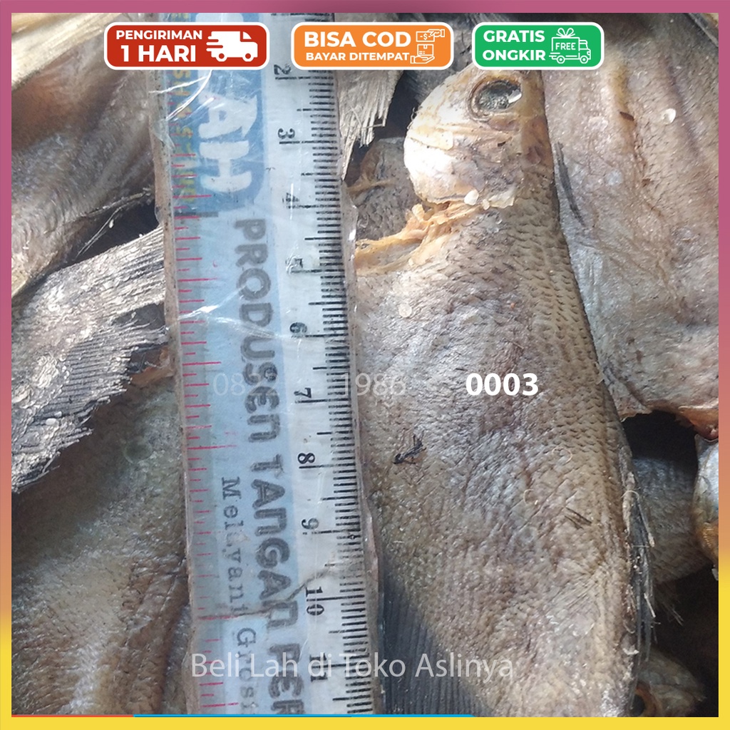 

PROMO Ikan Asin Sepat Jumbo / Besar 1Kg & 500Gr / Ikan Sepat / Tembakang Mentah Jakarta Siap Masak