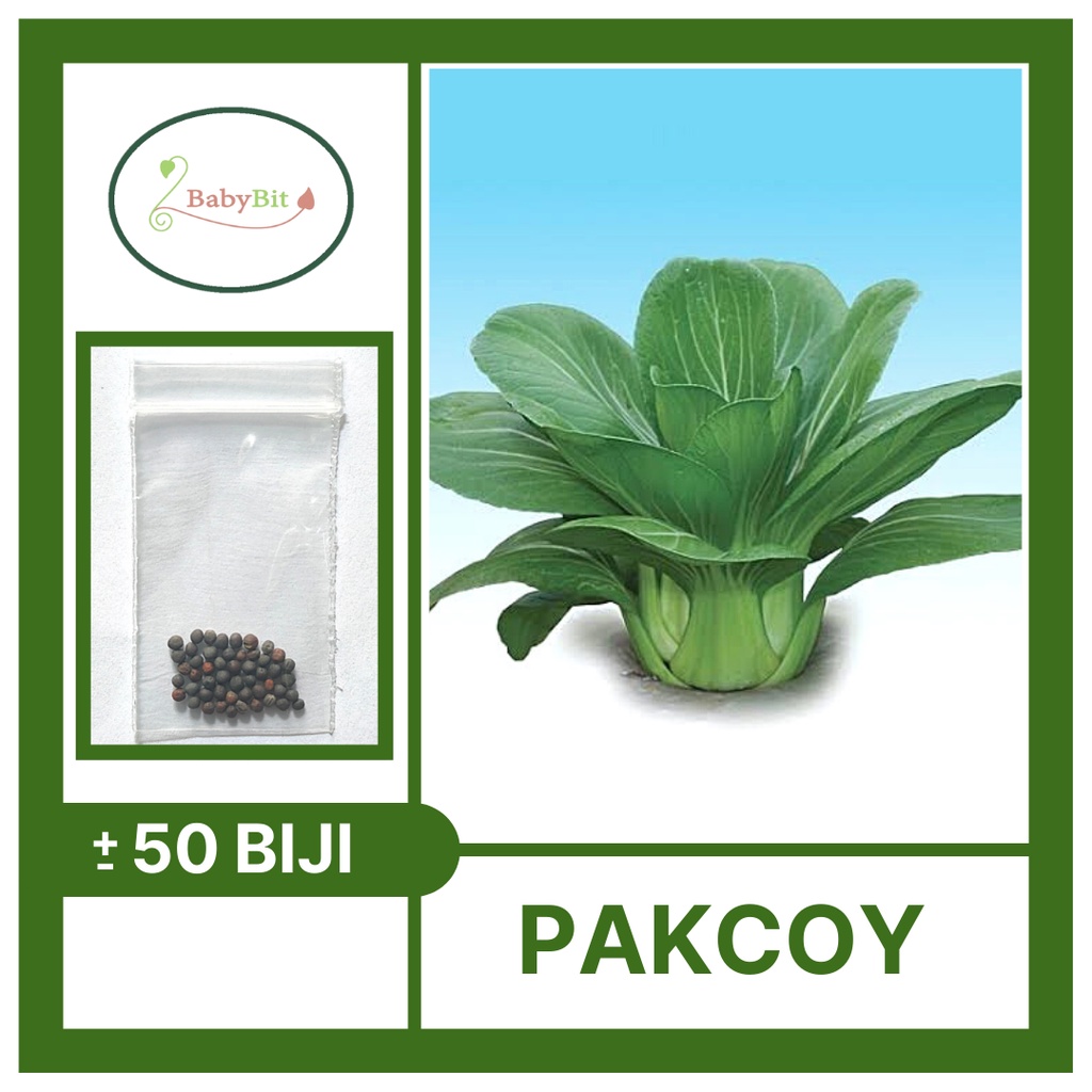 Benih Sawi Pakcoy NAULI F1 Pakcoy