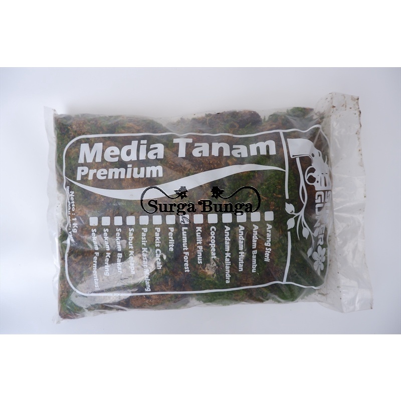 Media Lumut Forrest - Media Tanam Lumut Hidup 1kg
