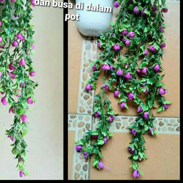Bunga Priti +pot dinding ombak plastik bunga gantung bunga rambat /juntai plastik