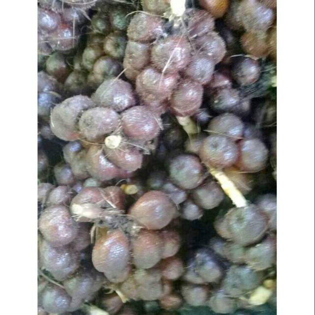 

Buah Salak Pondoh 1 kg