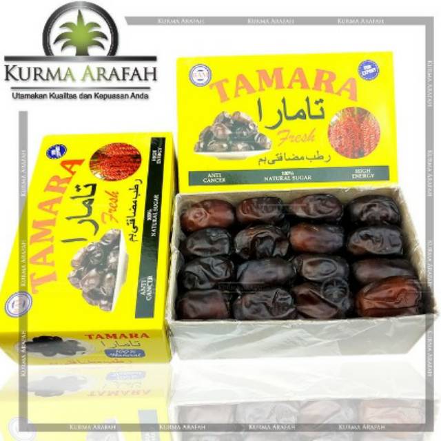 

Kurma BAM Iran Tamara