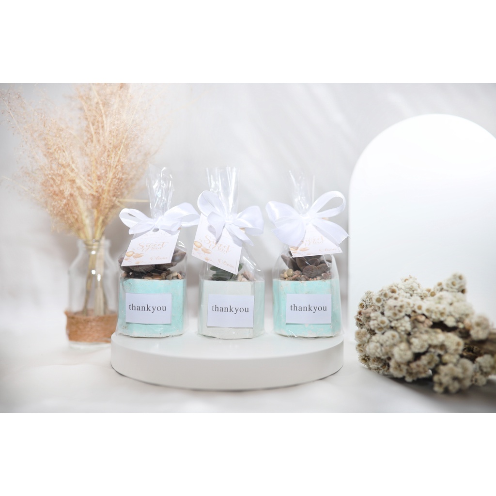 SOUVENIR PERNIKAHAN SUKULEN / SOUVENIR PERNIKAHAN TANAMAN / SOUVENIR TANAMAN UNIK / SOUVENIR TANAMAN