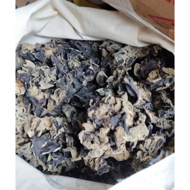 

Jamur Kuping SUPER 100 gr / Bokni hitam / Bok ni hitam SUPER CAP KAPAL
