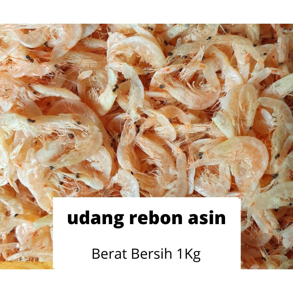 Udang Rebon Asin 1 Kg Harga Paling Murah Indonesia