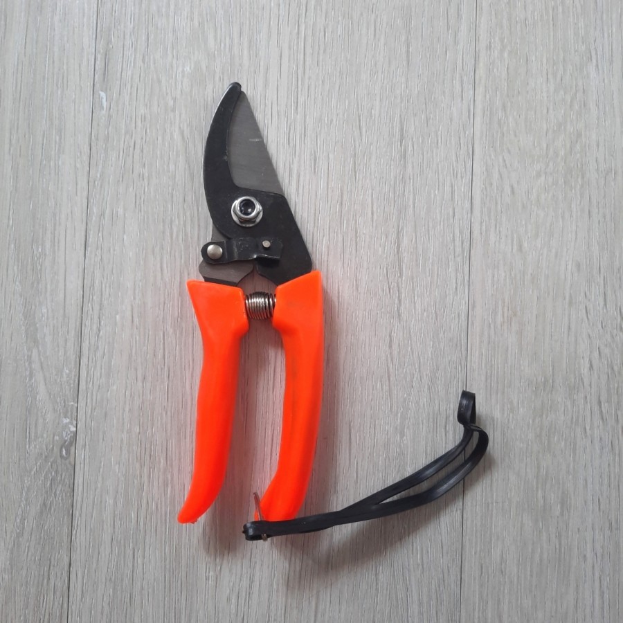 Gunting dahan gunting ranting pruning bonsai model shears