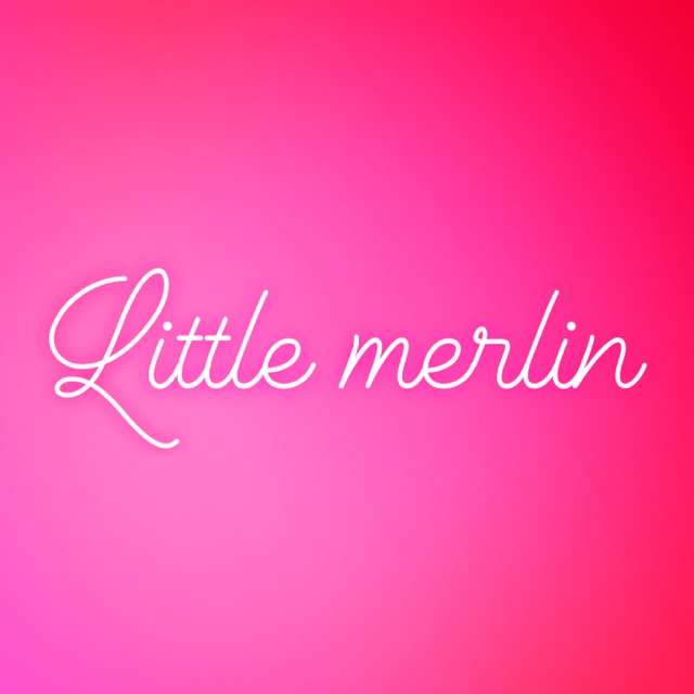 littlemerlin