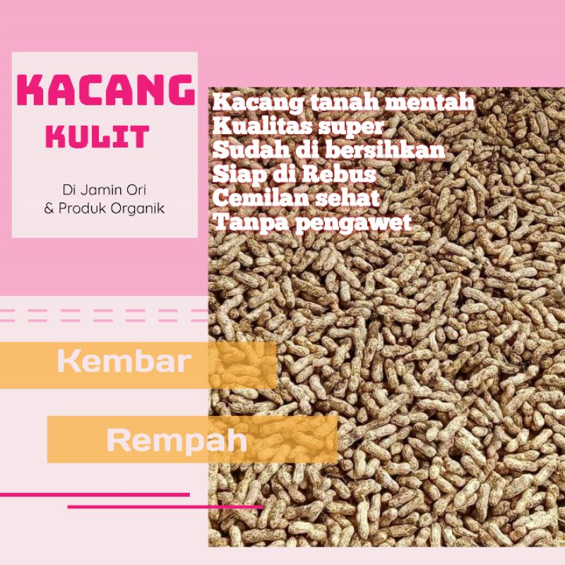 

KACANG TANAH | KACANG KULIT MENTAH 1KG