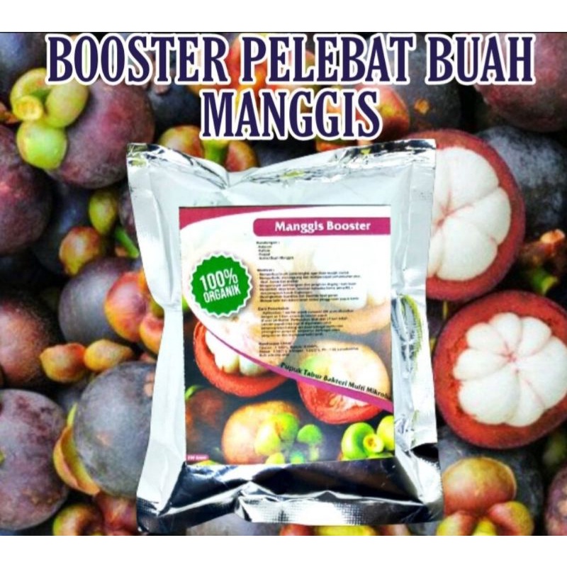 Pupuk organik booster perangsang dan pelebat buah manggis serbuk terbaik agar cepat berbuah lebat