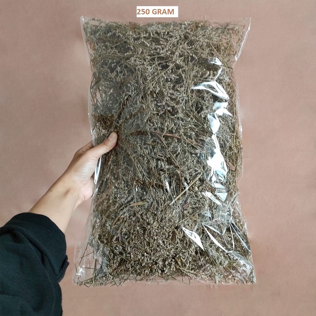 250g DIY Mini Caspea Lovergrass Bunga Kering Asli Hias Dekorasi Buket Pajangan