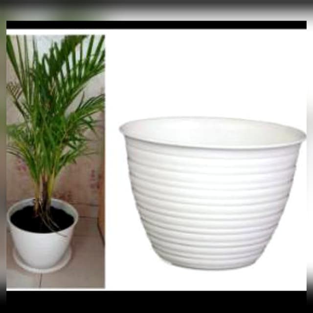 Pot tanaman dan bunga plastik tawon putih 30cm - Hitam